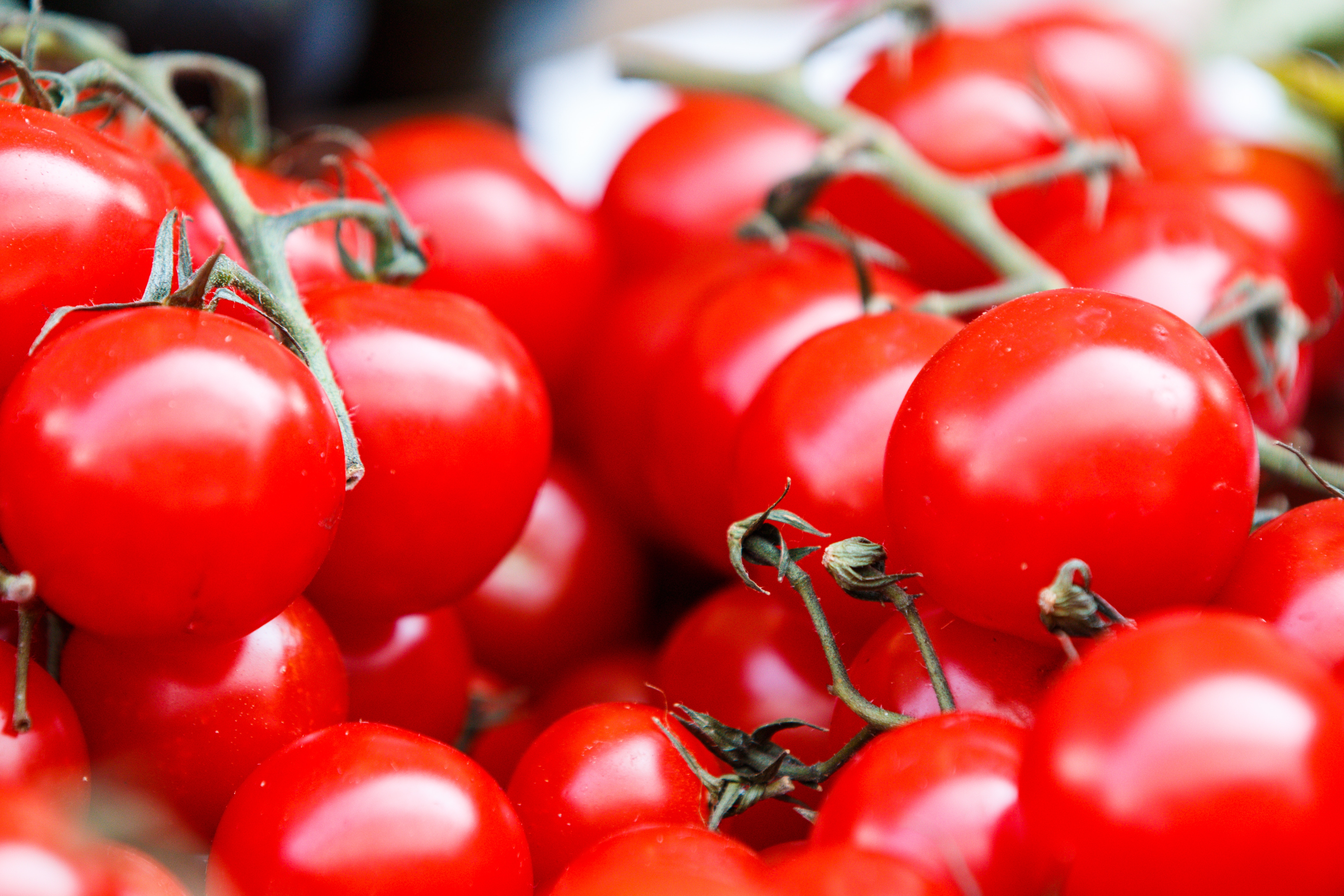 【妊婦さん必見！】トマトに含まれている葉酸の量はどのくらいあるのか？妊娠中に注意したい食べ方を徹底解説！
